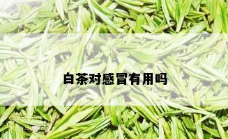 白茶对感冒有用吗