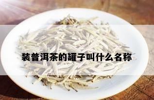 装普洱茶的罐子叫什么名称