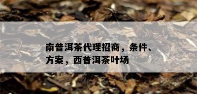 南普洱茶代理招商，条件、方案，西普洱茶叶场