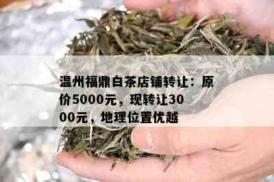 温州福鼎白茶店铺转让：原价5000元，现转让3000元，地理位置优越