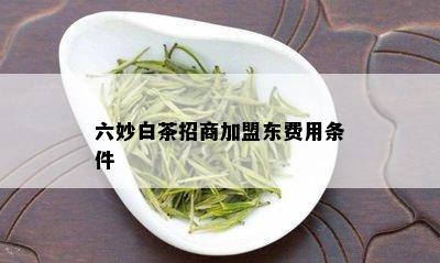 六妙白茶招商加盟东费用条件