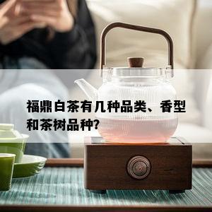 福鼎白茶有几种品类、香型和茶树品种？