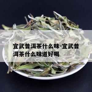 宜武普洱茶什么味-宜武普洱茶什么味道好喝