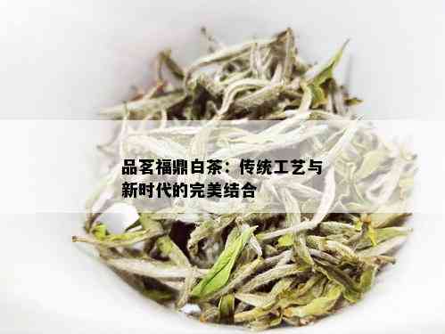 品茗福鼎白茶：传统工艺与新时代的完美结合