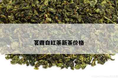 茗鼎白红茶新茶价格