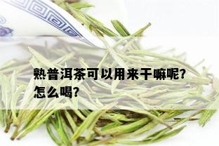 熟普洱茶可以用来干嘛呢？怎么喝？