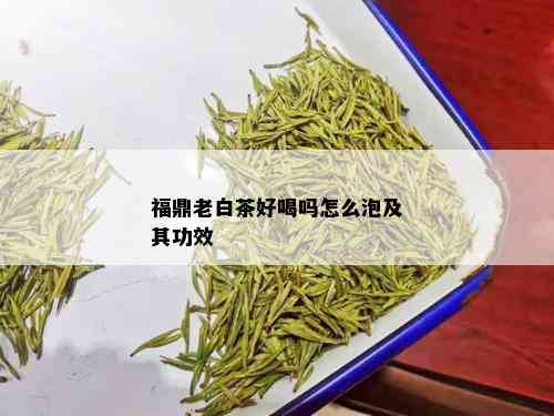 福鼎老白茶好喝吗怎么泡及其功效