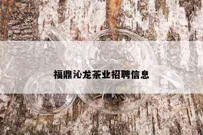 福鼎沁龙茶业招聘信息