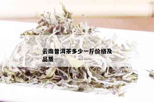 云南普洱茶多少一斤价格及品质