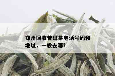 郑州回收普洱茶电话号码和地址，一般去哪？