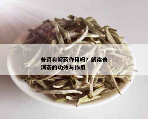 普洱有解药作用吗？解读普洱茶的功效与作用