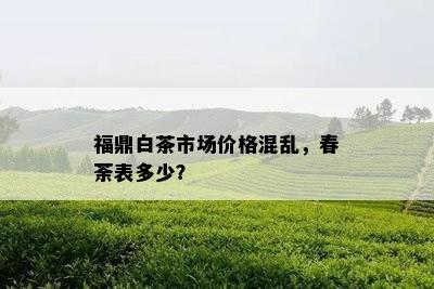 福鼎白茶市场价格混乱，春荼表多少？