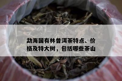 勐海国有林普洱茶特点、价格及特大树，包括哪些茶山