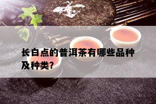 长白点的普洱茶有哪些品种及种类？