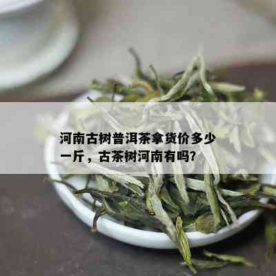 河南古树普洱茶拿货价多少一斤，古茶树河南有吗？