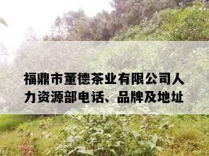 福鼎市董德茶业有限公司人力资源部电话、品牌及地址