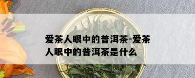 爱茶人眼中的普洱茶-爱茶人眼中的普洱茶是什么