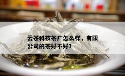 云茶科技茶厂怎么样，有限公司的茶好不好？