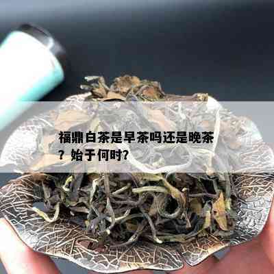 福鼎白茶是早茶吗还是晚茶？始于何时？