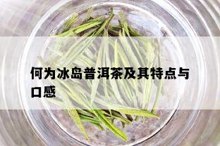 何为冰岛普洱茶及其特点与口感