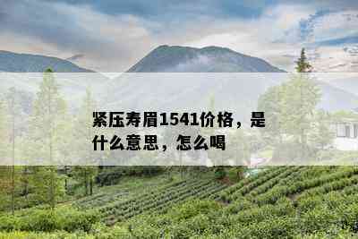 紧压寿眉1541价格，是什么意思，怎么喝