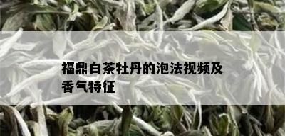 福鼎白茶牡丹的泡法视频及香气特征