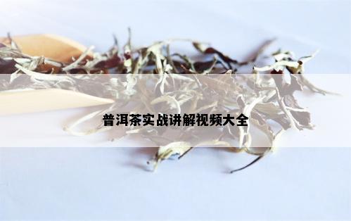 普洱茶实战讲解视频大全