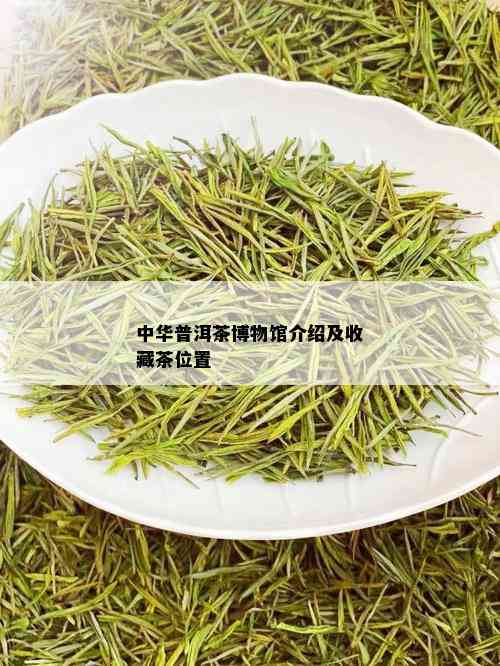 中华普洱茶博物馆介绍及收藏茶位置