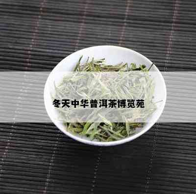 冬天中华普洱茶博览苑