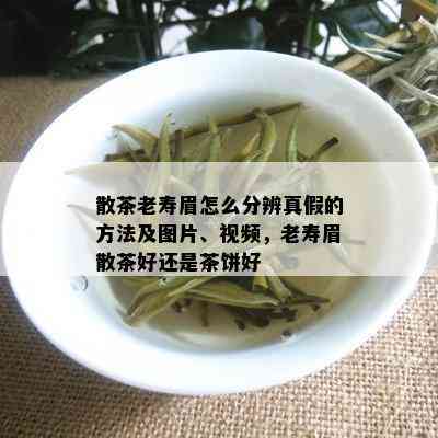 散茶老寿眉怎么分辨真假的方法及图片、视频，老寿眉散茶好还是茶饼好