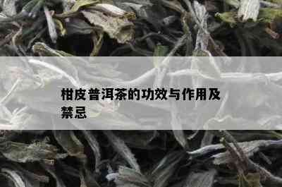 柑皮普洱茶的功效与作用及禁忌