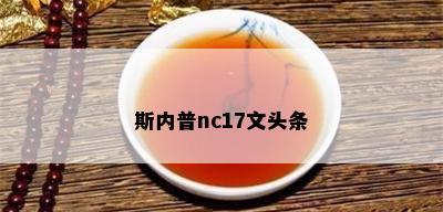 斯内普nc17文头条