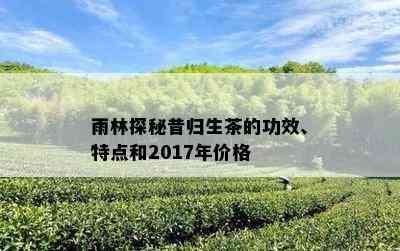 雨林探秘昔归生茶的功效、特点和2017年价格