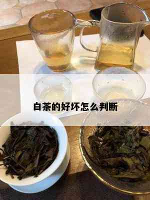 白茶的好坏怎么判断