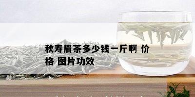 秋寿眉茶多少钱一斤啊 价格 图片功效