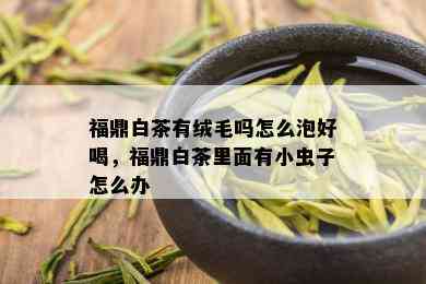 福鼎白茶有绒毛吗怎么泡好喝，福鼎白茶里面有小虫子怎么办