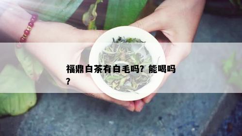 福鼎白茶有白毛吗？能喝吗？