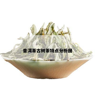 普洱茶古树茶特点分析图