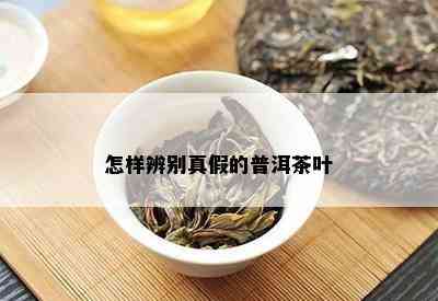 怎样辨别真假的普洱茶叶