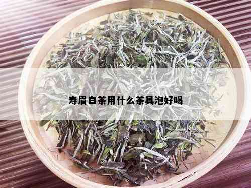 寿眉白茶用什么茶具泡好喝