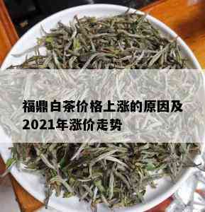 福鼎白茶价格上涨的原因及2021年涨价走势