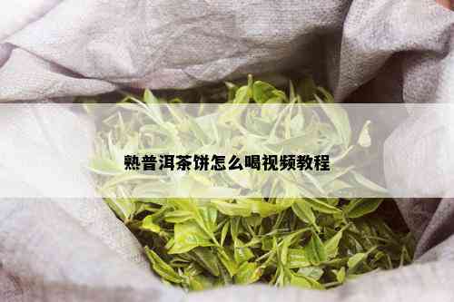 熟普洱茶饼怎么喝视频教程