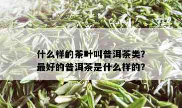 什么样的茶叶叫普洱茶类？更好的普洱茶是什么样的？