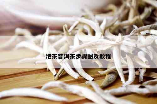 泡茶普洱茶步骤图及教程