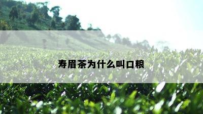 寿眉茶为什么叫口粮