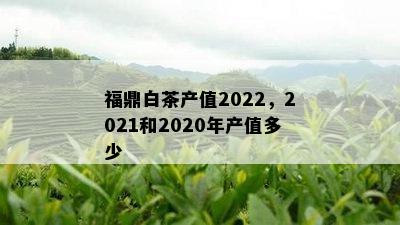 福鼎白茶产值2022，2021和2020年产值多少