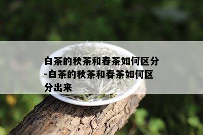 白茶的秋茶和春茶如何区分-白茶的秋茶和春茶如何区分出来