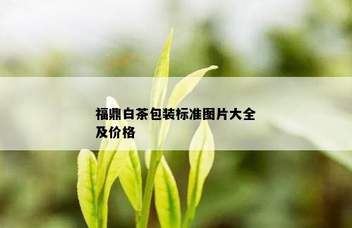 福鼎白茶包装标准图片大全及价格