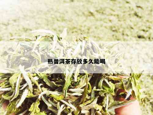 熟普洱茶存放多久能喝