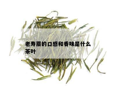 老寿眉的口感和香味是什么茶叶